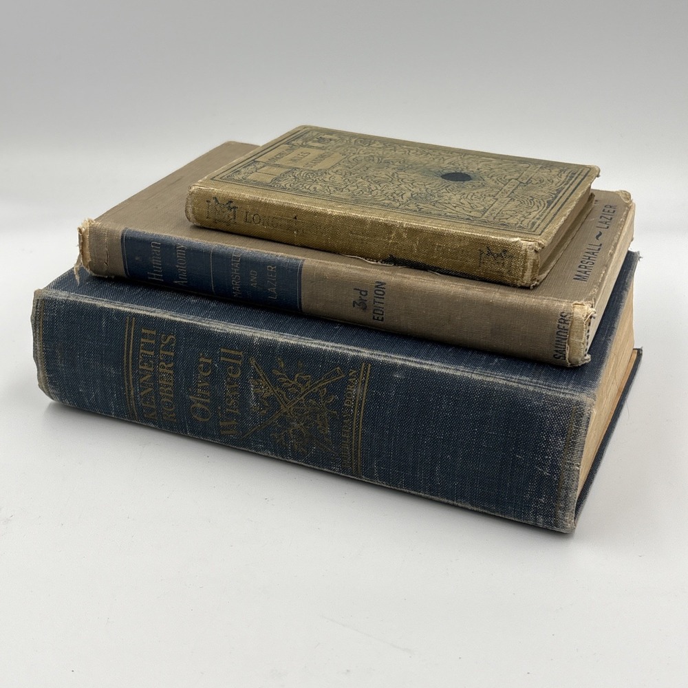 Vintage 3 Blue Brown Books Lot Staging Decor Retro Prop Shelf Mantle Centerpiece - Picture 3 of 8